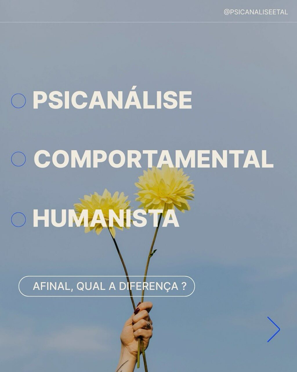 Instagram post from psicanaliseetal. This post is in position 0.